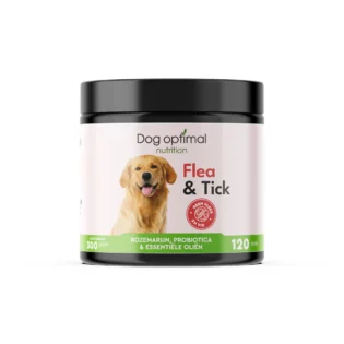 Vlo & Teek | 120 stuks