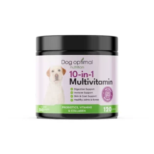 10-In-1 Multivitamin | 120 stuks